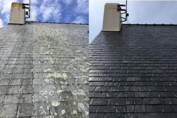 Démoussage toiture à La Chapelle-d'Aligné